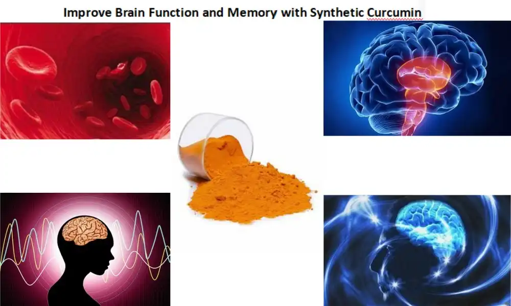 Improve Brain Function and Memory with Synthetic Curcumin